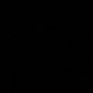 Meet your Posher, Peter